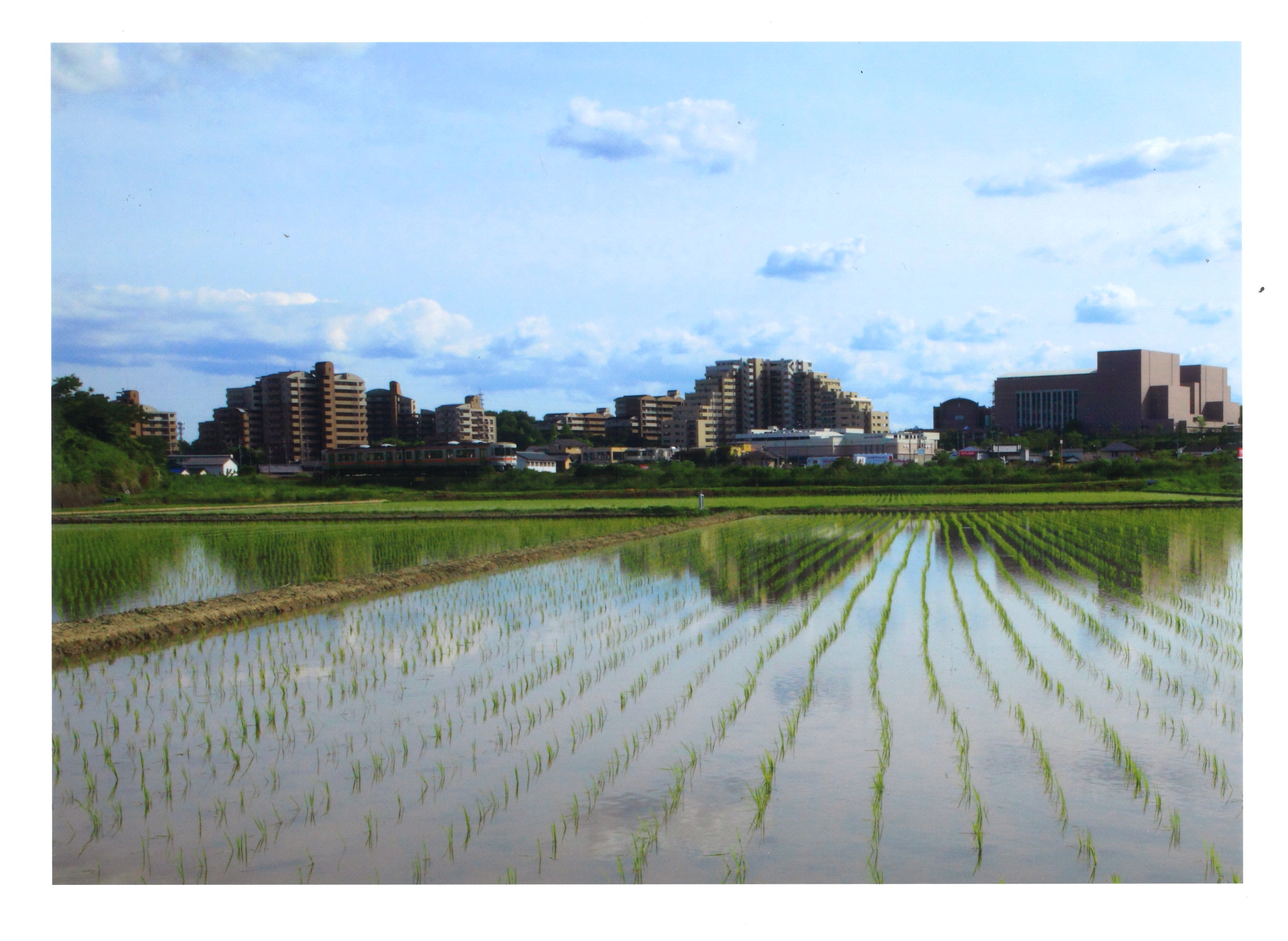 田園からの風景