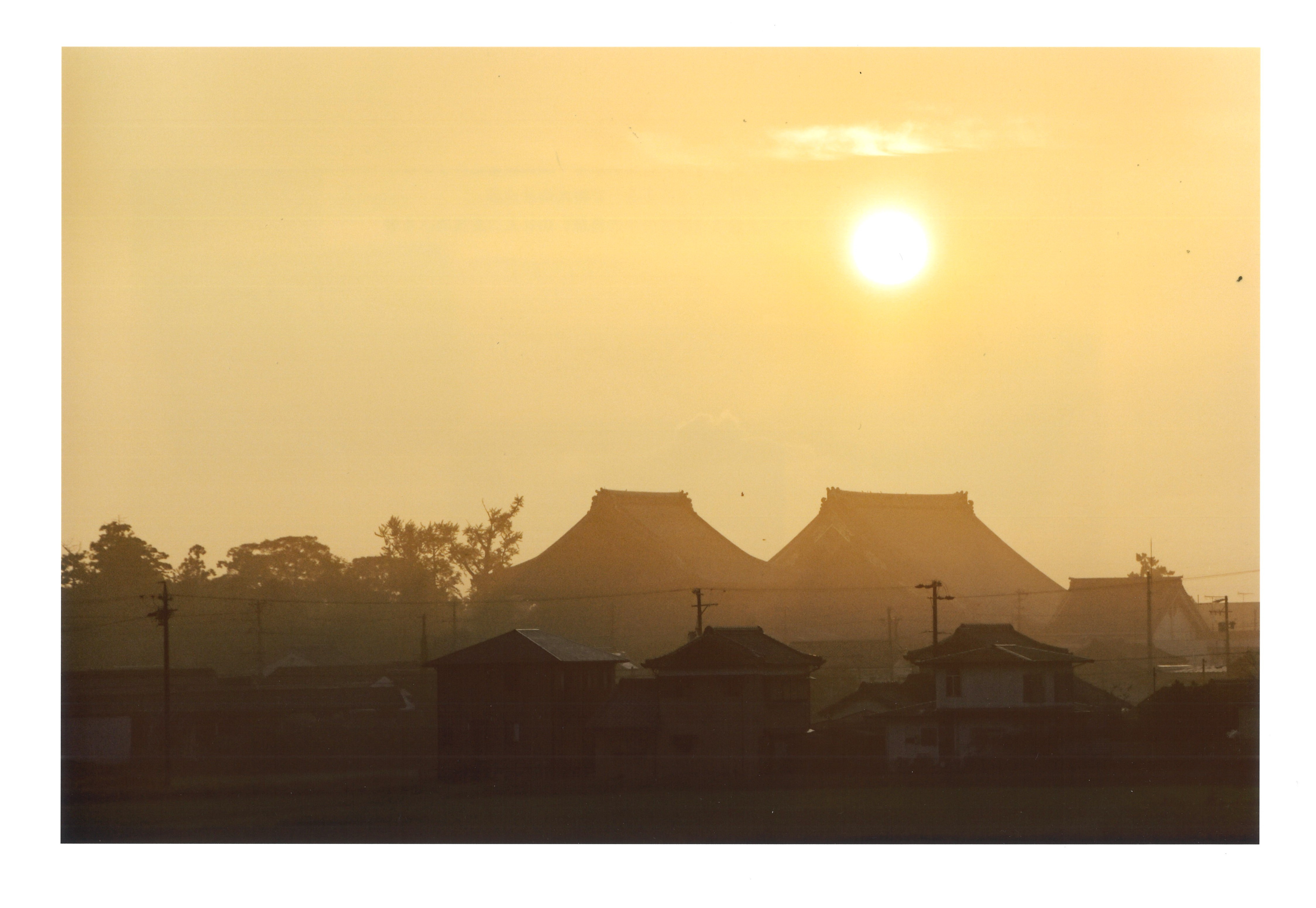 雨上り